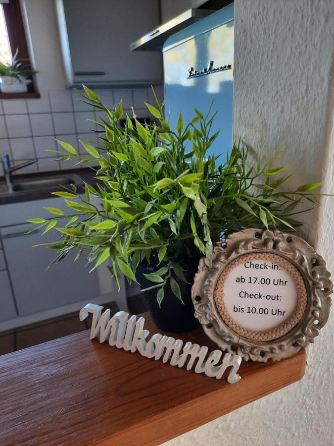 Schoene Einzimmer Wohnung Zwischen Bodensee Und Allgaeu Neukirch  Eksteriør billede
